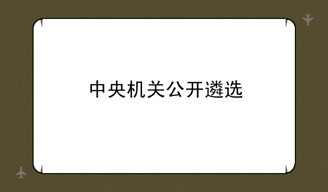 中央机关公开遴选