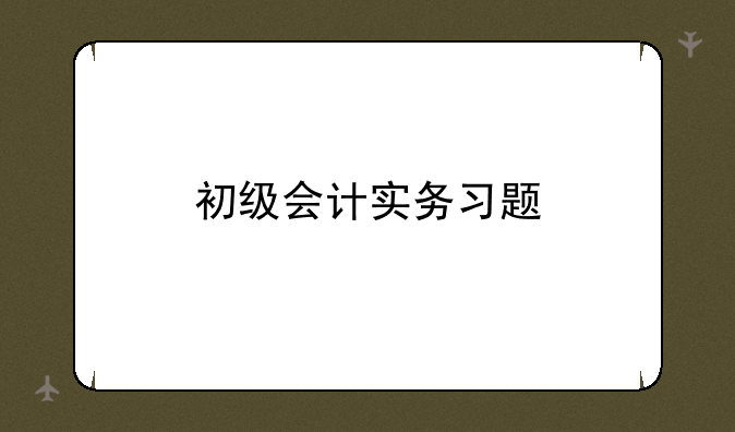 初级会计实务习题