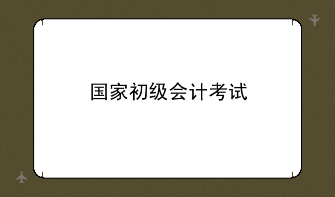 国家初级会计考试