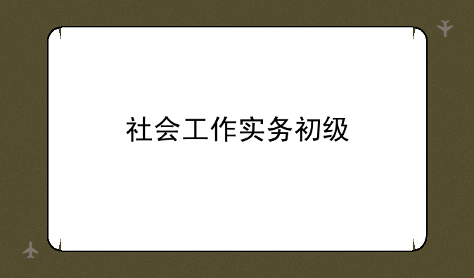 社会工作实务初级