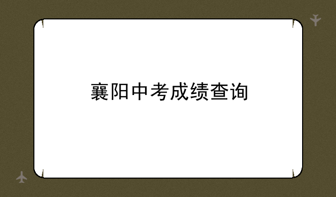 襄阳中考成绩查询
