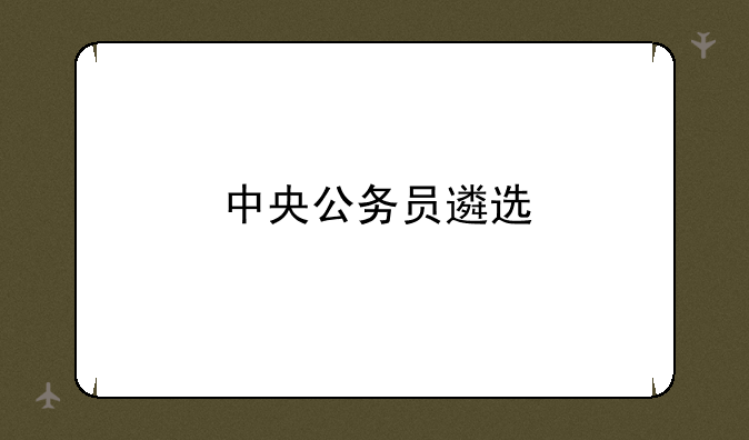 中央公务员遴选