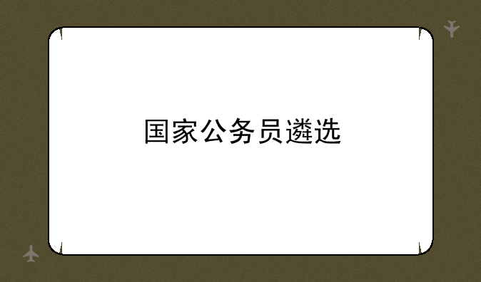 国家公务员遴选