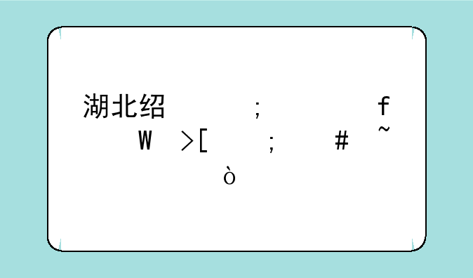 湖北经济学院录取怎么查询？