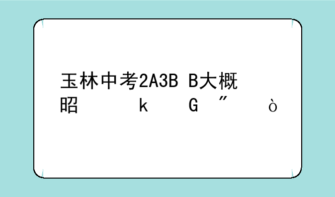 玉林中考2A3B+B大概是多少分？