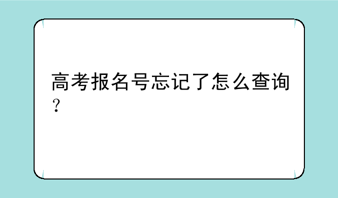 高考报名号忘记了怎么查询？