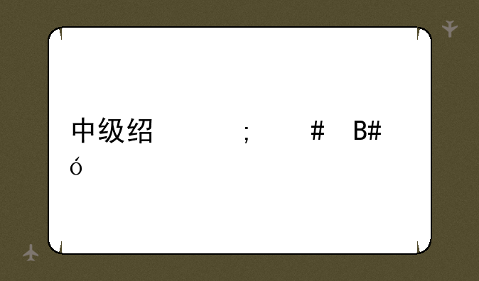中级经济师合格标准