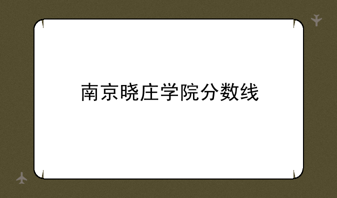 南京晓庄学院分数线
