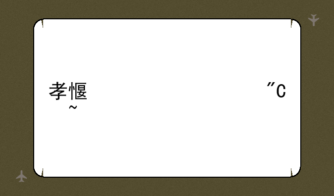 孝感市中考成绩查询