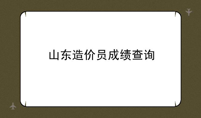 山东造价员成绩查询