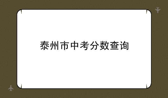 泰州市中考分数查询