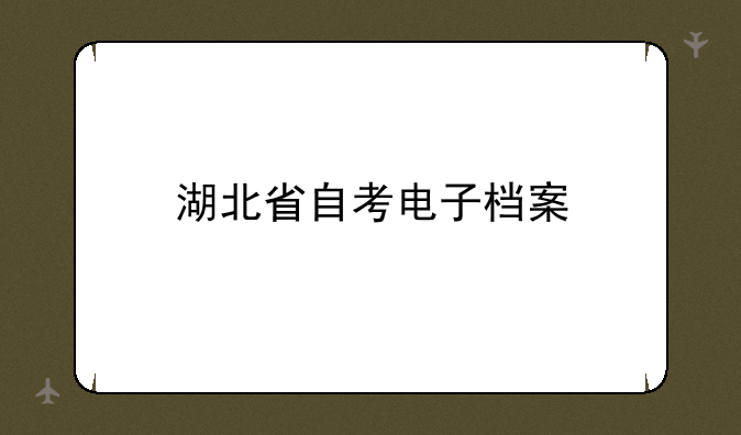 湖北省自考电子档案