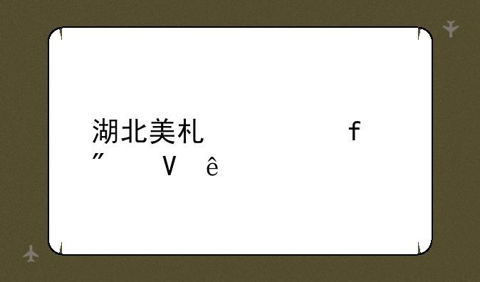 湖北美术学院分数线