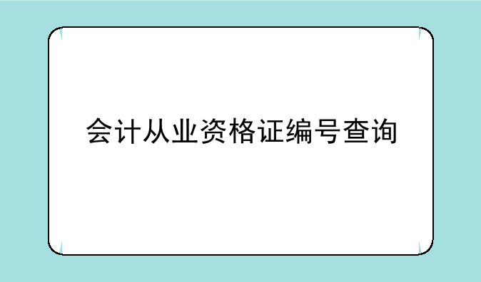 会计从业资格证编号查询