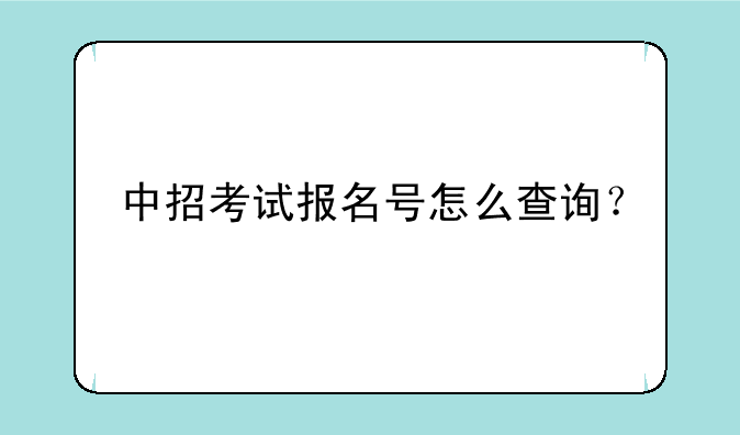 中招考试报名号怎么查询？