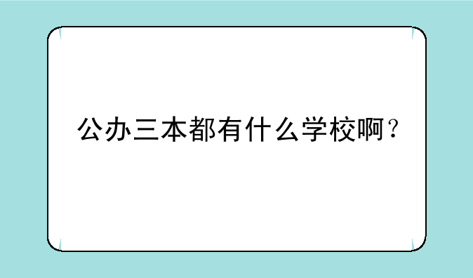 公办三本都有什么学校啊？