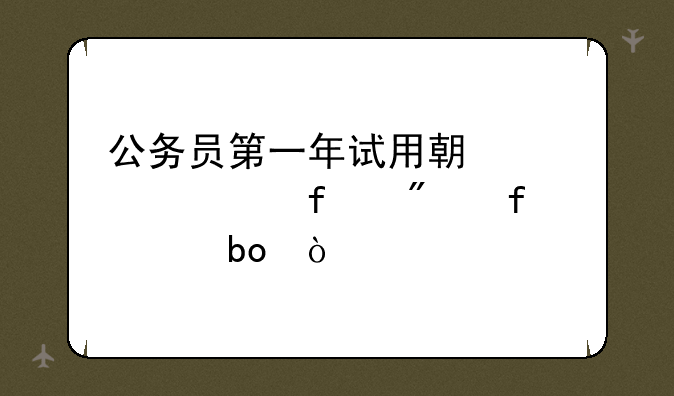 公务员第一年试用期考核百分百过嘛？