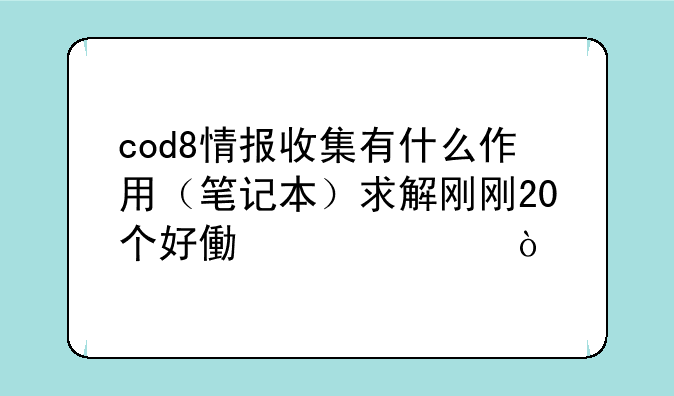cod8情报收集有什么作用（笔记本）求解刚刚20个好像共46个？
