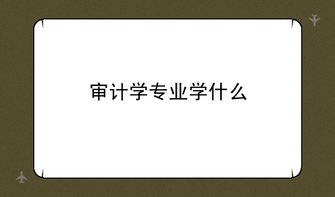 审计学专业学什么